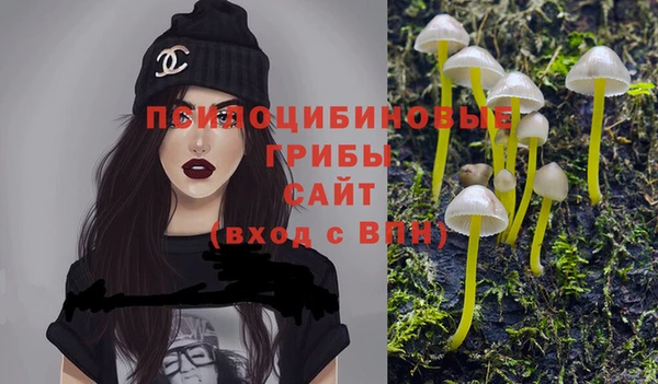 марки nbome Беломорск