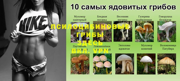 прущие крисы Балабаново