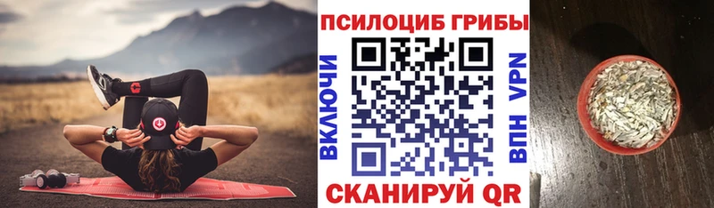 Псилоцибиновые грибы Magic Shrooms Мензелинск